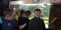 Выставка аквариумных рыбок