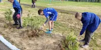 Продолжаются работы по озеленению школьного участка и подготовки к открытию "Аллеи памяти"