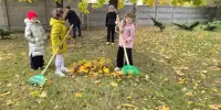Наведём порядок на родной земле !