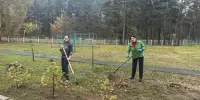 Субботник в нашей школе прошёл активно и бодро!