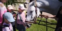 Новости из воспитательно - оздоровительного лагеря с дневным пребыванием детей на базе ГУО "Средняя школа №24 г.Борисова" "Солнышко ". День5 -СМЕНА 2
