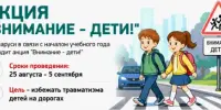 В республике пройдет специальное комплексное мероприятие "Внимание - дети!"